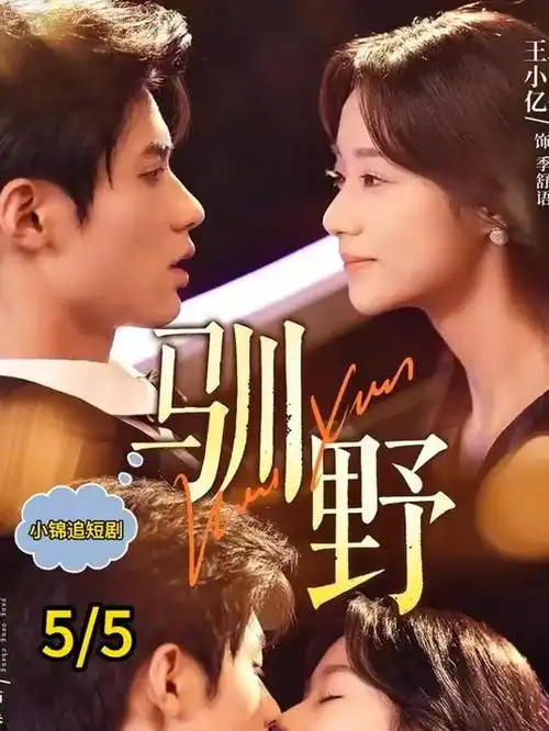 玫瑰的故事 电视剧 2024 汪俊